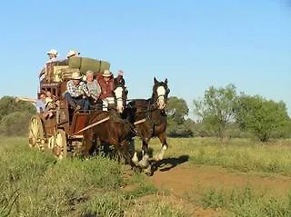 Saltbush Retreat 0*, Longreach
